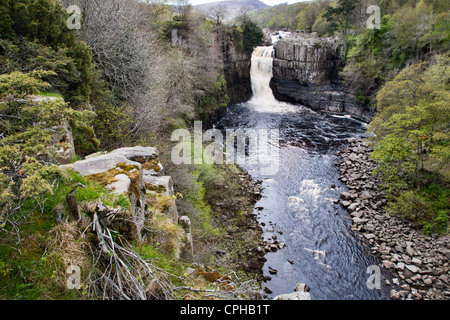 High Force in Upper Teesdale County Durham England Stock Photo