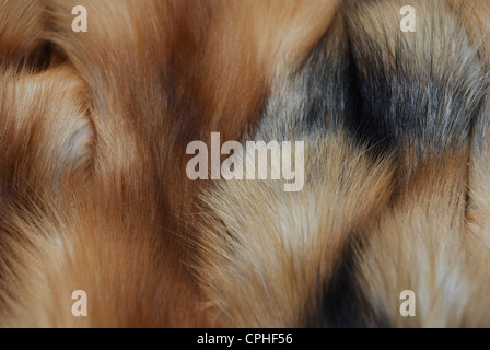 furs of red fox full frame close-up Stock Photo