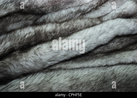 furs of polar fox full frame close-up Stock Photo