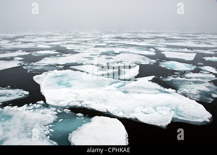 Pack Ice around 81 degrees Arctic Ocean Spitsbergen Norway Stock Photo