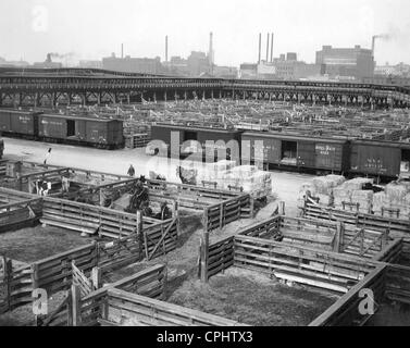 Union Stockyards in Chicago, 1927 Stock Photo