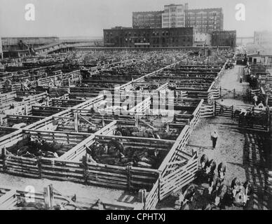 Union Stockyards in Chicago, 1938 Stock Photo