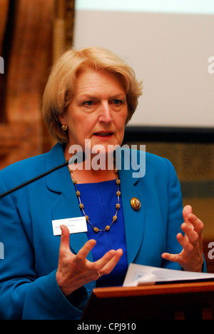 Baroness Barbara Young, Chief Executive of Dianbetes UK, speaking at a lobby day for diabetes sufferers, London, UK. Stock Photo