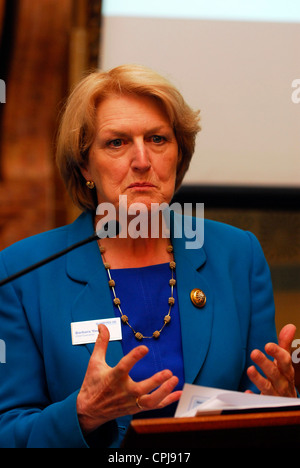 Baroness Barbara Young, Chief Executive of Diabetes UK, addressing delegates at a lobby day of Parliament for diabetes sufferers Stock Photo