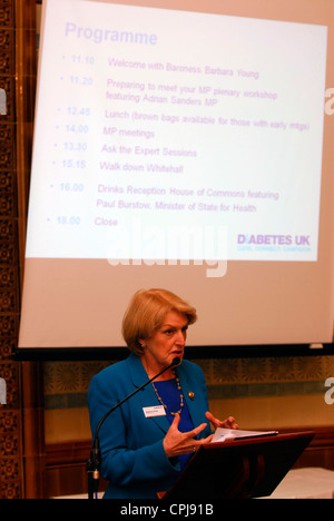 Baroness Barbara Young, Chief Executive of Diabetes UK, addressing delegates at a lobby day of Parliament for diabetes sufferers Stock Photo