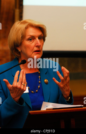 Barbara Young, Chief Executive of Diabetes UK, speaking at a lobby day of Parliament for sufferers of Diabetes, London, UK. Stock Photo