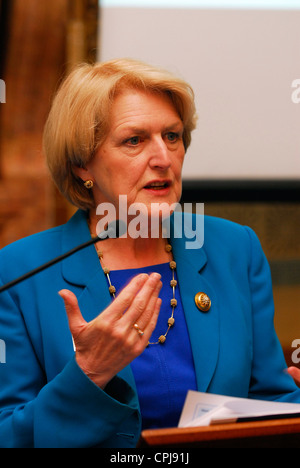 Baroness Barbara Young, Chief Executive of Diabetes UK, addressing delegates at a lobby day of Parliament for diabetes sufferers Stock Photo