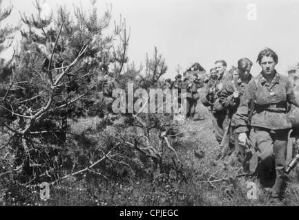 Flemish soldiers of the Waffen-SS on the Eastern Front, 1942 Stock Photo