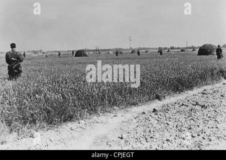 Soldiers of the Waffen SS in the Normandy, 1944 Stock Photo