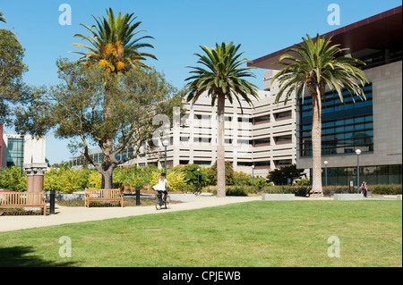 Cyclist riding through Standford University campus towards the Li Ka Shing building Stock Photo