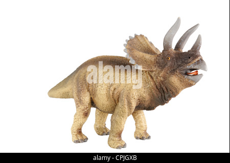 Triceratops isolated on white background Stock Photo