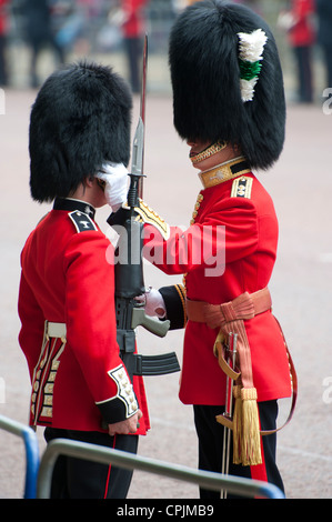 Guardsman adjusting the bearskin hat of another soldier on the Mall in London during the Royal Wedding. Stock Photo