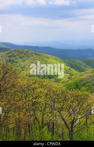 High Knob Trail, On Fire Tower in George Washington National Forest ...