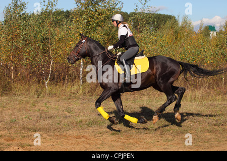 The Three Day Event. Trial test. Equestrian sport Stock Photo
