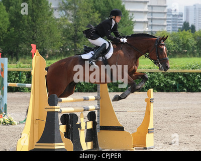 Equestrian horse sports/Show-jumping Stock Photo