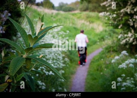 Man walking along a country footpath Stock Photo