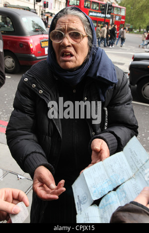 A woman's document's are checked by border control officials in London's West End. She was seen begging for money. Stock Photo