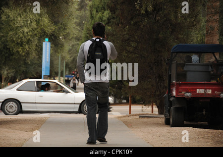 A student talks on a cell phone while walking on the campus of the University of Arizona, Tucson, Arizona, USA. Stock Photo