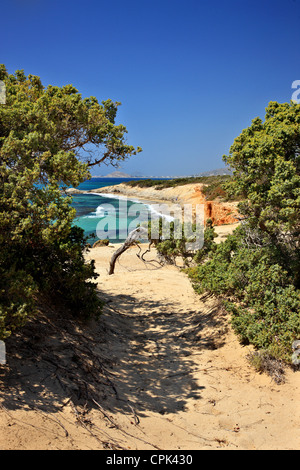 'Passage' to Alyko beach, at Kedrodasos ('Cedar forest'), Naxos island, Cyclades, Greece Stock Photo