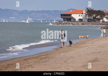 A man running on the beach with a dog Stock Photo