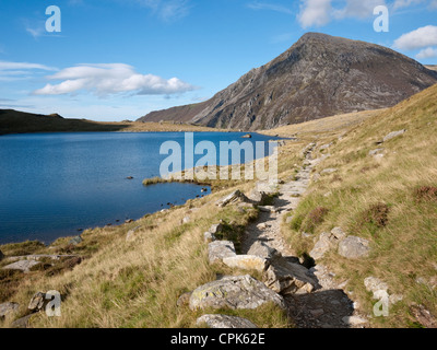 Pen yr Ole Wen in the Carneddau mountains of Snowdonia, viewed across Llyn Idwal in Cwm Idwal Stock Photo