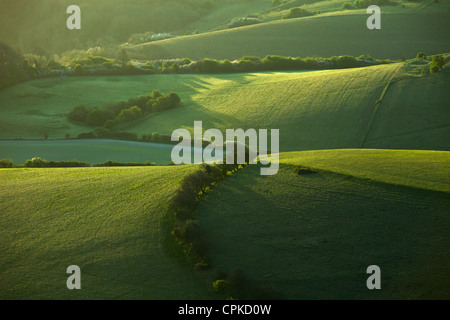Spring morning in South Downs National Park in East Sussex, England. Stock Photo