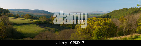 Panoramic view of the Cynghordy Viaduct on the Heart of Wales Railway Line Carmarthenshire Mid Wales UK, taken early morning Stock Photo