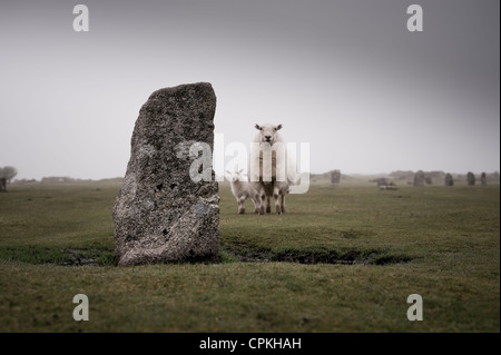 The Hurlers stone circles located on Bodmin Moor, Cornwall, England, UK. Stock Photo