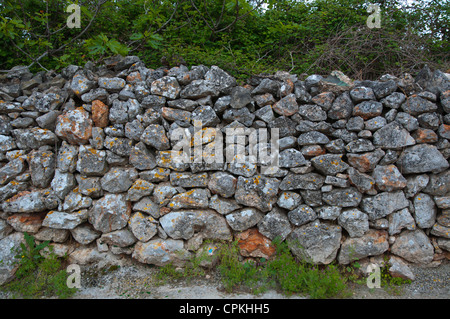 Dry stone walls that divide the ancient Greek style fields around Stari Grad in Hvar island Croatia Europe Stock Photo