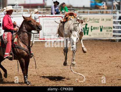 A saddled bronc continues to buck after throwing its rider during the 90th annual Black Hills Roundup rodeo in Belle Fourche, SD Stock Photo