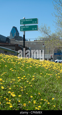 Signs showing way to Vieux Montreal and Vieux Port in a green city space Montreal Quebec Canada  KATHY DEWITT Stock Photo