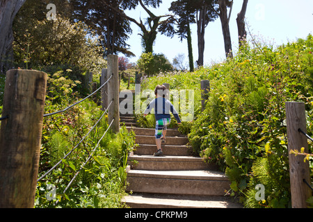 A small boy walking up a nature trail Stock Photo