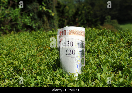 Cash on hedge Stock Photo