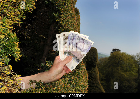 Cash on hedge Stock Photo