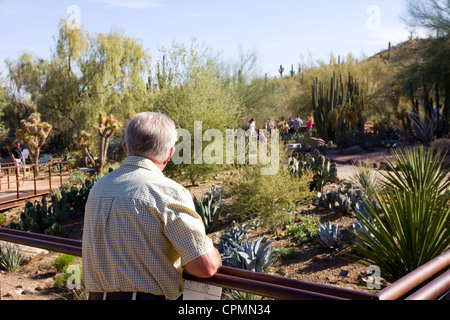 cacti and other water-retentive plants from arid regions around the world on display at Desert Botanical Garden in Phoenix, AZ Stock Photo