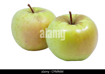 Two apples isolated on a white background Stock Photo
