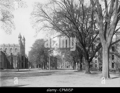 Buildings of Yale University in New Haven, 1901 Stock Photo