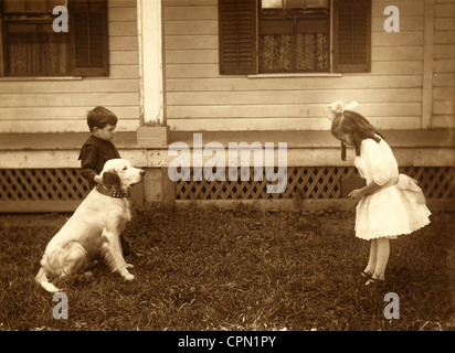 Little Girl Photographer Photographing Brother & Dog Stock Photo