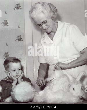 Woman Clips Wool from Scared Rabbit Stock Photo