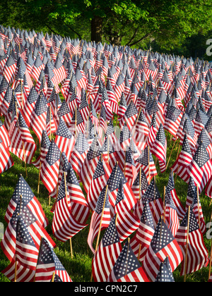Flags on Memorial Day in Boston Commons Stock Photo