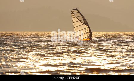 Windsurfing at sunset Stock Photo