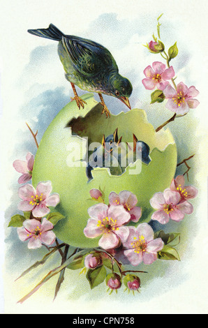 Easter, Easter egg, bird-nest with young birds, Germany, 1907, Additional-Rights-Clearences-Not Available Stock Photo
