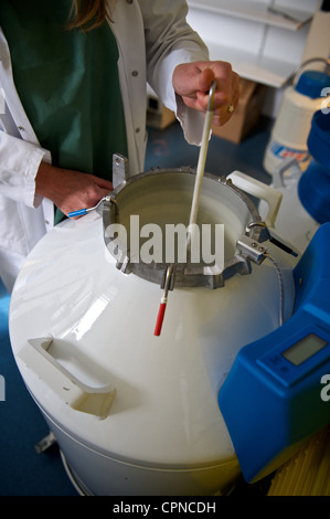 CRYOPRESERVATION Stock Photo