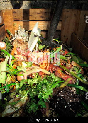 Compost Stock Photo