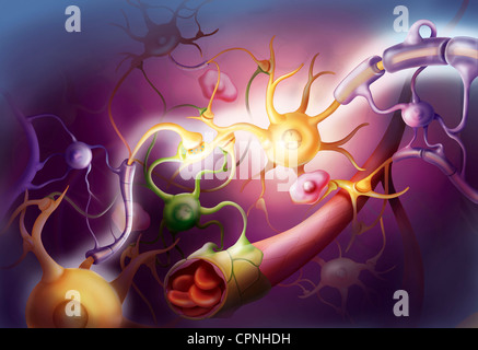 NERVE IMPULSE, DRAWING Stock Photo