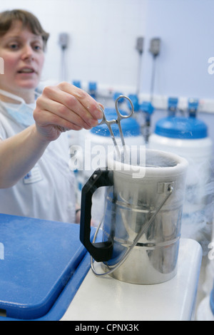 CRYOPRESERVATION Stock Photo