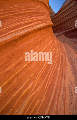 Striated sandstone of the Wave in Coyote Buttes, Arizona, USA Stock Photo
