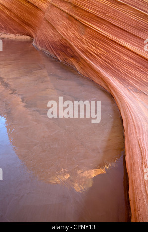 A striated rock formation near the Wave reflects into an icy seasonal water pocket in Coyote Buttes North, Arizona Stock Photo