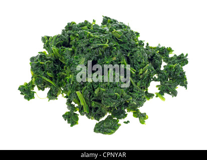 Chopped spinach Stock Photo