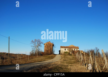 Landscape with farmhouse and vineyard in the Oltrepo Pavese in winter, Pavia, Lombardy, Italy Stock Photo